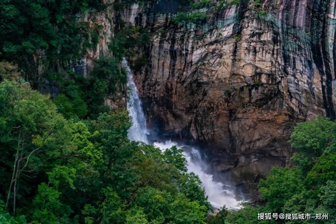 古怪巫师逃离村庄
